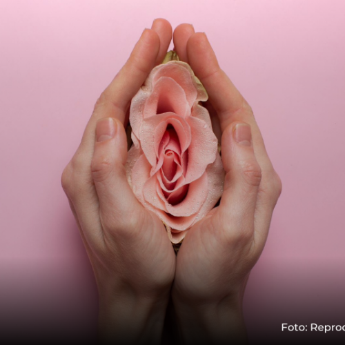 A saúde da mulher e o impacto do cuidado precoce